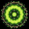 Ayahuasca Sacred Geometry T-Shirt