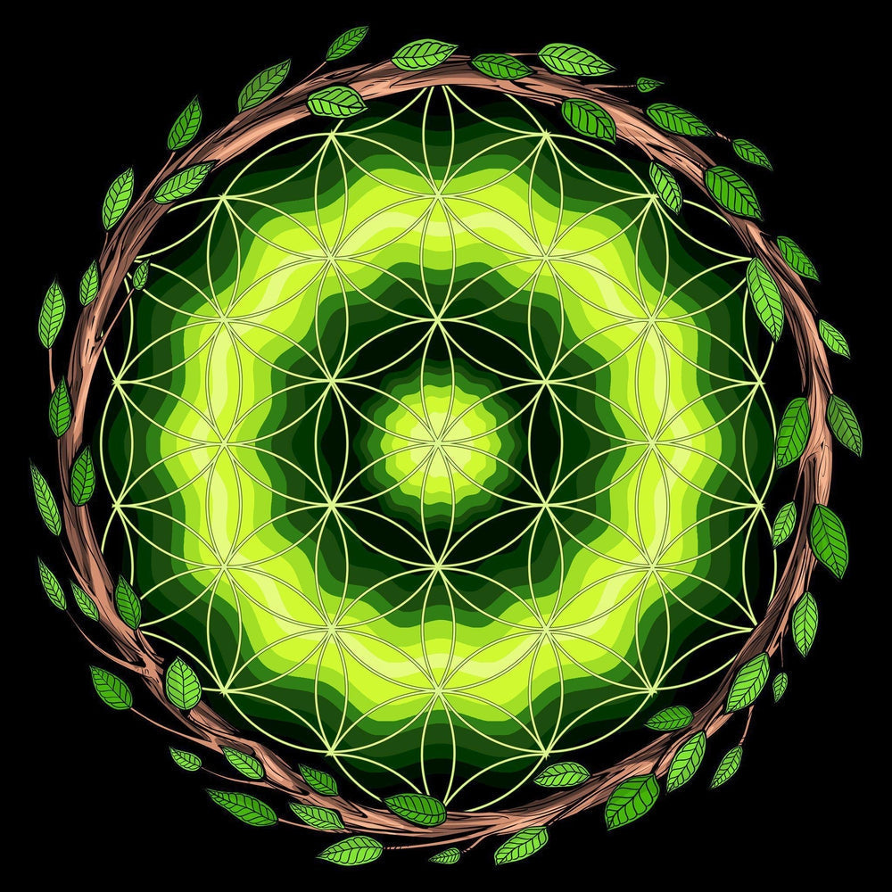 Ayahuasca Sacred Geometry T-Shirt