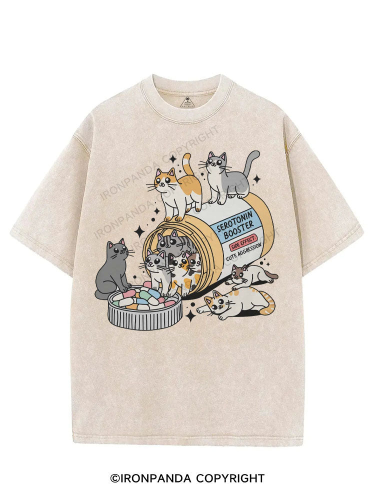 SEROTONIN BOOSTER VINTAGE GYM SHIRT